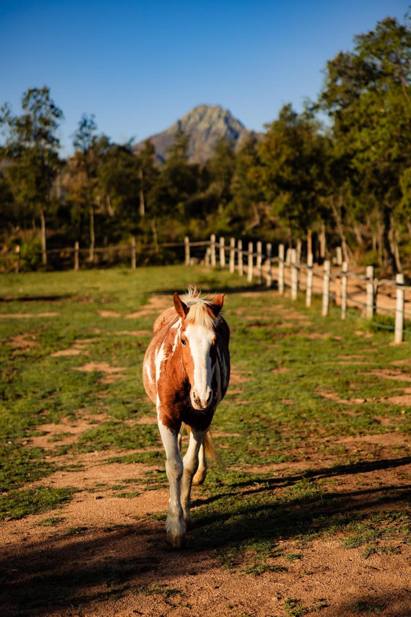 Turisme rural la Paradella  Arbúcies Exterior foto